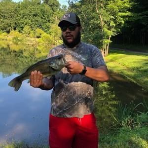 Meet your Posher, Chris